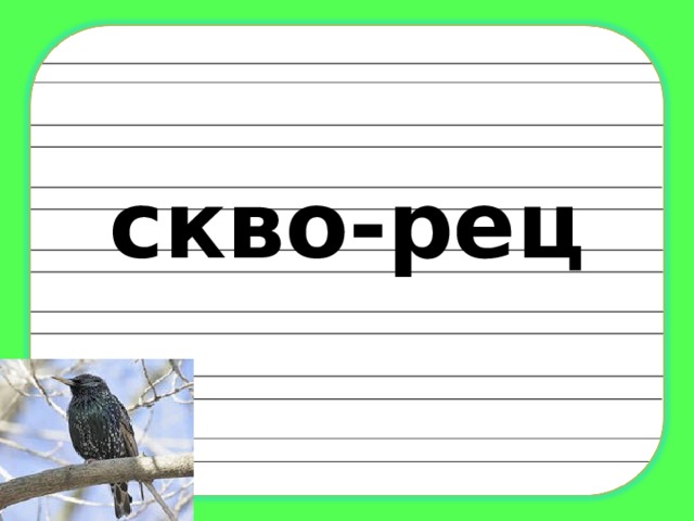 скво - рец 