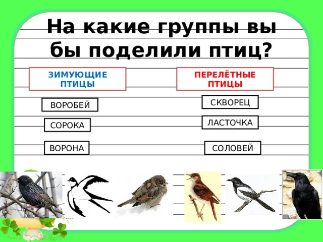 На какие группы вы бы поделили птиц? ПЕРЕЛЁТНЫЕ  ПТИЦЫ ЗИМУЮЩИЕ ПТИЦЫ СКВОРЕЦ ВОРОБЕЙ ЛАСТОЧКА СОРОКА ВОРОНА СОЛОВЕЙ 
