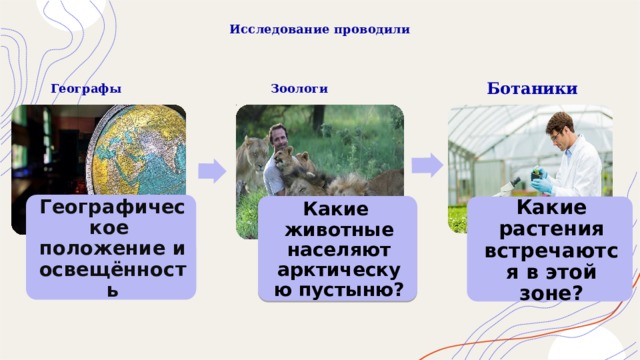Исследование проводили   Ботаники Географы   Зоологи   Географическое положение и освещённость Какие животные населяют арктическую пустыню? Какие растения встречаются в этой зоне? 