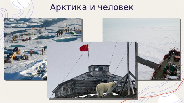 Арктика и человек 