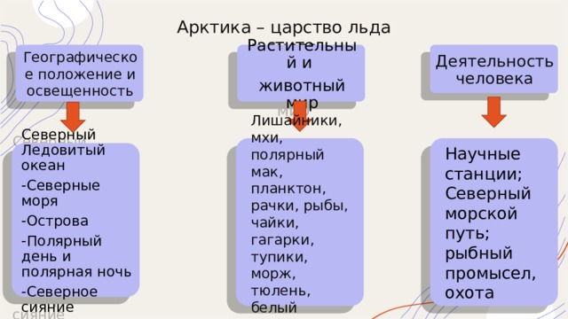 Арктика – царство льда  и снега   Растительный и Географическое положение и освещенность Деятельность человека животный мир Северный Ледовитый океан -Северные моря -Острова -Полярный день и полярная ночь -Северное сияние Лишайники, мхи, полярный мак, планктон, рачки, рыбы, чайки, гагарки, тупики, морж, тюлень, белый медведь Научные станции; Северный морской путь; рыбный промысел, охота 