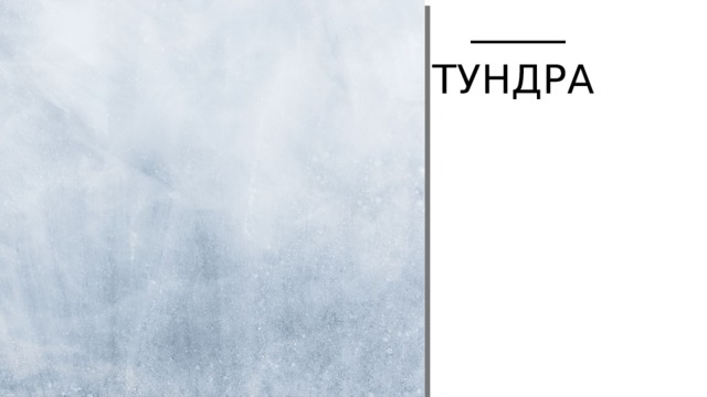 Тундра  