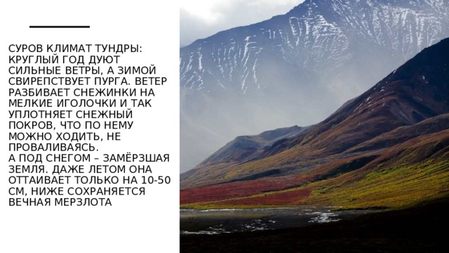 Суров климат тундры: круглый год дуют сильные ветры, а зимой свирепствует пурга. Ветер разбивает снежинки на мелкие иголочки и так уплотняет снежный покров, что по нему можно ходить, не проваливаясь.  А под снегом – замёрзшая земля. Даже летом она оттаивает только на 10-50 см, ниже сохраняется вечная мерзлота     