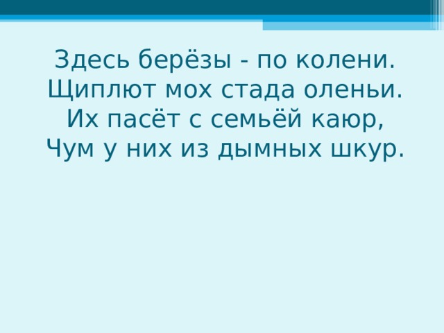 Здесь берёзы - по колени.  Щиплют мох стада оленьи.  Их пасёт с семьёй каюр,  Чум у них из дымных шкур. 