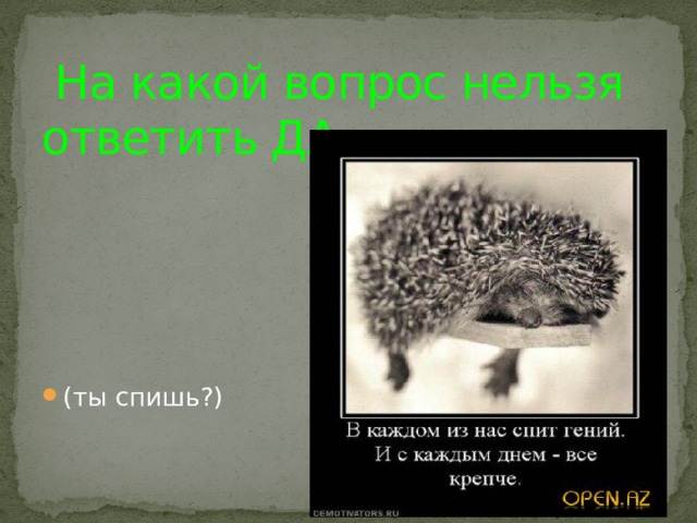 На какой вопрос нельзя ответить ДА   (ты спишь?)   