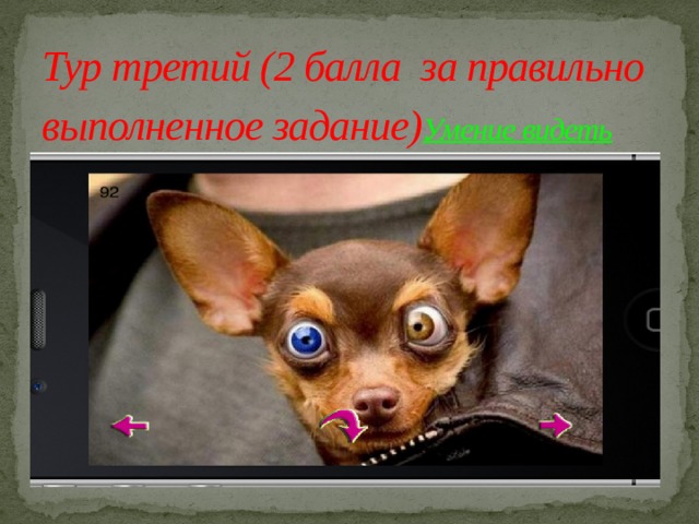 Тур третий (2 балла за правильно выполненное задание) Умение видеть   