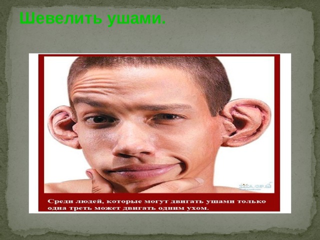 Шевелить ушами.    