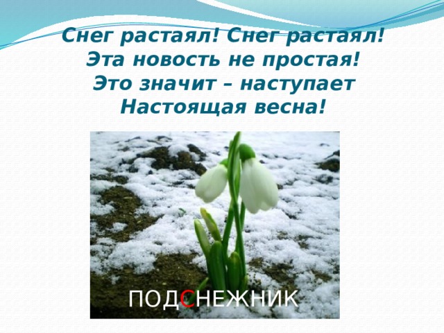 Снег растаял! Снег растаял!  Эта новость не простая!  Это значит – наступает  Настоящая весна! ПОД С НЕЖНИК 
