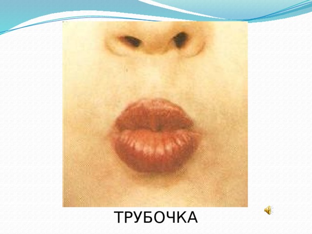 ТРУБОЧКА 