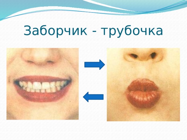 Заборчик - трубочка 