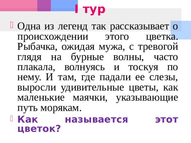 I тур Одна из легенд так рассказывает о происхождении этого цветка. Рыбачка, ожидая мужа, с тревогой глядя на бурные волны, часто плакала, волнуясь и тоскуя по нему. И там, где падали ее слезы, выросли удивительные цветы, как маленькие маячки, указывающие путь морякам.   Как называется этот цветок? 