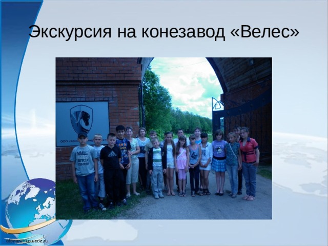 Экскурсия на конезавод «Велес» 