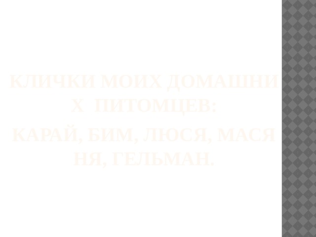 Клички моих домашних питомцев:   Карай, Бим, Люся, Масяня, Гельман. 