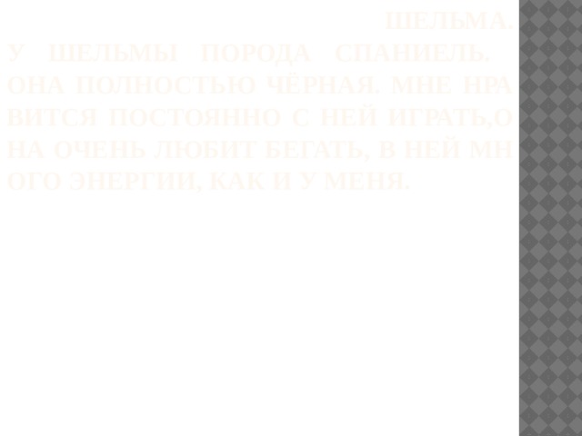  Шельма.  У шельмы порода Спаниель.  Она полностью чёрная. Мне нравится постоянно с ней играть,она очень любит бегать, в ней много энергии, как и у меня. 