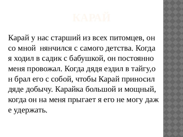 Карай Карай у нас старший из всех питомцев, он со мной нянчился с самого детства. Когда я ходил в садик с бабушкой, он постоянно меня провожал. Когда дядя ездил в тайгу,он брал его с собой, чтобы Карай приносил дяде добычу. Карайка большой и мощный, когда он на меня прыгает я его не могу даже удержать. 