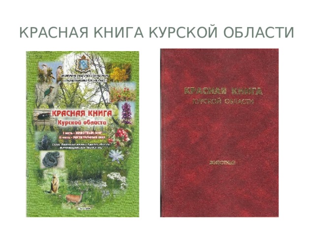 Красная книга Курской области 