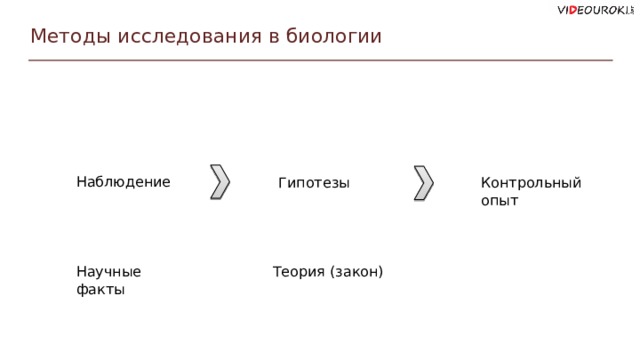 Методы исследования в биологии Наблюдение Гипотезы Контрольный опыт Научные факты Теория (закон) Пункты можно выделять цифрами  