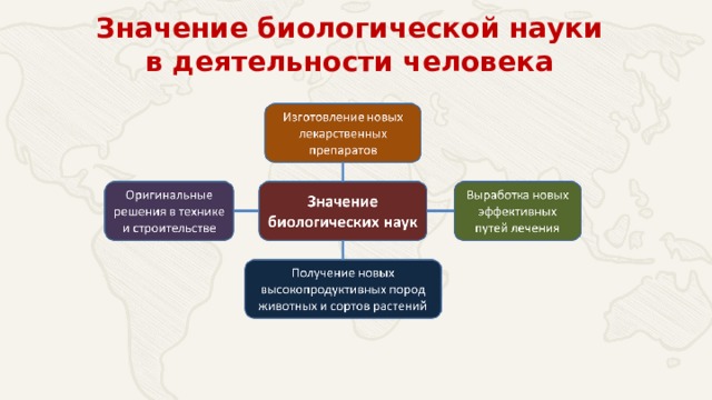 Значение биологической науки в деятельности человека 