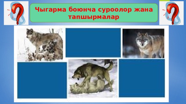Чыгарма боюнча суроолор жана тапшырмалар 
