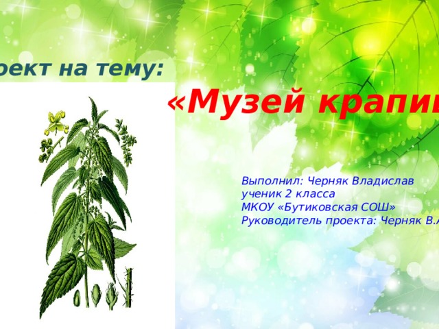 Проект на тему:  «Музей крапивы» Выполнил: Черняк Владислав ученик 2 класса МКОУ «Бутиковская СОШ» Руководитель проекта: Черняк В.А. 