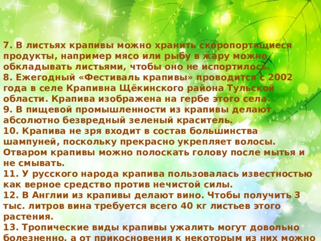 7. В листьях крапивы можно хранить скоропортящиеся продукты, например мясо или рыбу в жару можно обкладывать листьями, чтобы оно не испортилось.  8. Ежегодный «Фестиваль крапивы» проводится с 2002 года в селе Крапивна Щёкинского района Тульской области. Крапива изображена на гербе этого села.  9. В пищевой промышленности из крапивы делают абсолютно безвредный зеленый краситель. 10. Крапива не зря входит в состав большинства шампуней, поскольку прекрасно укрепляет волосы. Отваром крапивы можно полоскать голову после мытья и не смывать.  11. У русского народа крапива пользовалась известностью как верное средство против нечистой силы.  12. В Англии из крапивы делают вино. Чтобы получить 3 тыс. литров вина требуется всего 40 кг листьев этого растения.  13. Тропические виды крапивы ужалить могут довольно болезненно, а от прикосновения к некоторым из них можно просто умереть.  14. Чемпионат по поеданию крапивы ежегодно проводится в деревушке Мар (Англия) 