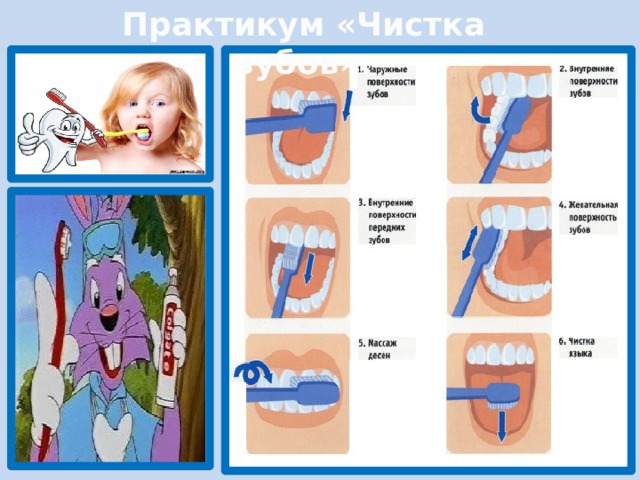 Практикум «Чистка зубов». 