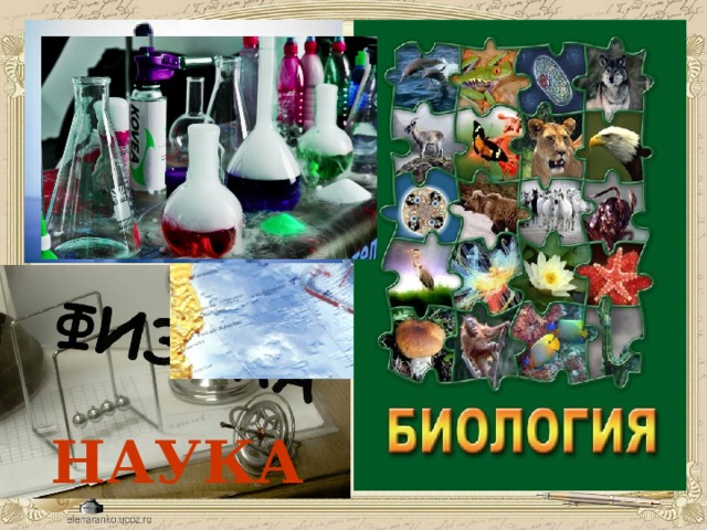НАУКА  