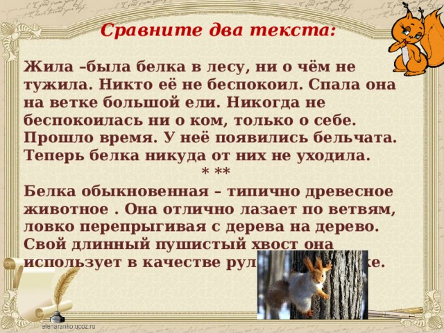 Сравните два текста:  Жила –была белка в лесу, ни о чём не тужила. Никто её не беспокоил. Спала она на ветке большой ели. Никогда не беспокоилась ни о ком, только о себе. Прошло время. У неё появились бельчата. Теперь белка никуда от них не уходила. * ** Белка обыкновенная – типично древесное животное . Она отлично лазает по ветвям, ловко перепрыгивая с дерева на дерево. Свой длинный пушистый хвост она использует в качестве руля при прыжке. Сравните два текста: Жила –была белка в лесу, ни о чём не тужила. Никто её не беспокоил. Спала она на ветке большой ели. Никогда не беспокоилась ни о ком, только о себе. Прошло время. У неё появились бельчата. Теперь белка никуда от них не уходила. Белка обыкновенная – типично древесное животное . Она отлично лазает по ветвям, ловко перепрыгивая с дерева на дерево. Свой длинный пушистый хвост она использует в качестве руля при прыжке.  