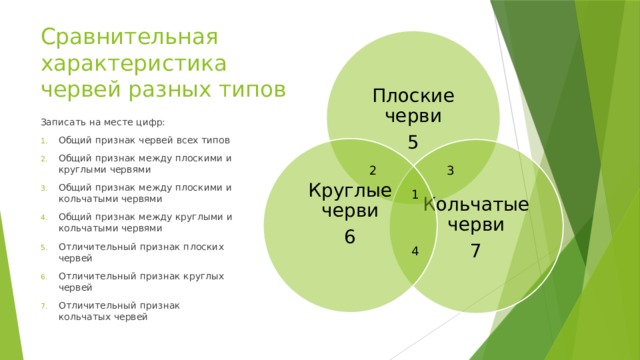 Сравнительная характеристика червей разных типов Плоские черви 5 Записать на месте цифр: Общий признак червей всех типов Общий признак между плоскими и круглыми червями Общий признак между плоскими и кольчатыми червями Общий признак между круглыми и кольчатыми червями Отличительный признак плоских червей Отличительный признак круглых червей Отличительный признак кольчатых червей Круглые черви 6 Кольчатые черви 7 2 3 1 4 