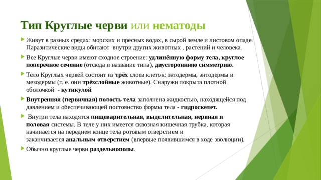 Тип Круглые черви или  нематоды Ж ивут в разных средах: морских и пресных водах, в сырой земле и листовом опаде. Паразитические виды обитают внутри других животных , растений и человека. Все Круглые черви имеют сходное строение:  удлинённую форму тела, круглое поперечное сечение  (отсюда и название типа),  двустороннюю симметрию . Тело Круглых червей состоит из  трёх  слоев клеток: эктодермы, энтодермы и мезодермы (т. е. они  трёхслойные  животные). Снаружи покрыта плотной оболочкой - кутикулой Внутренняя (первичная) полость тела  заполнена жидкостью, находящейся под давлением и обеспечивающей постоянство формы тела - гидроскелет.   Внутри тела находятся  пищеварительная, выделительная, нервная и половая  системы. В теле у них имеется сквозная кишечная трубка, которая начинается на переднем конце тела ротовым отверстием и заканчивается  анальным отверстием  (впервые появившимся в ходе эволюции). Обычно круглые черви  раздельнополы . 