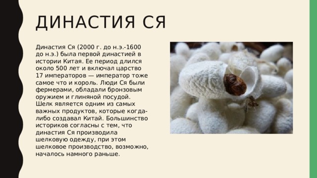 Династия Ся   Династия Ся (2000 г. до н.э.-1600 до н.э.) была первой династией в истории Китая. Ее период длился около 500 лет и включал царство 17 императоров — император тоже самое что и король. Люди Ся были фермерами, обладали бронзовым оружием и глиняной посудой. Шелк является одним из самых важных продуктов, которые когда-либо создавал Китай. Большинство историков согласны с тем, что династия Ся производила шелковую одежду, при этом шелковое производство, возможно, началось намного раньше. 