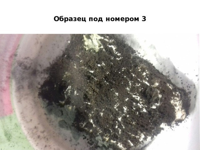 Образец под номером 3 