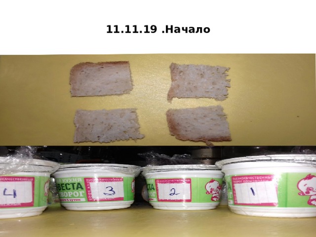 11.11.19 .Начало 