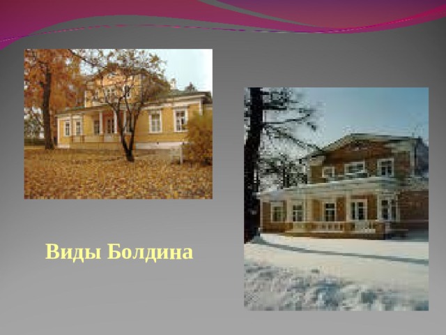 Виды Болдина 