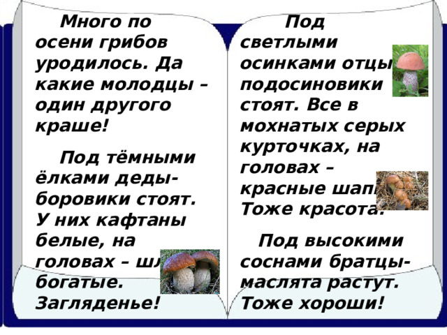  Много по осени грибов уродилось. Да какие молодцы – один другого краше!  Под тёмными ёлками деды-боровики стоят. У них кафтаны белые, на головах – шляпы богатые. Загляденье!   Под светлыми осинками отцы-подосиновики стоят. Все в мохнатых серых курточках, на головах – красные шапки. Тоже красота!  Под высокими соснами братцы-маслята растут. Тоже хороши! 
