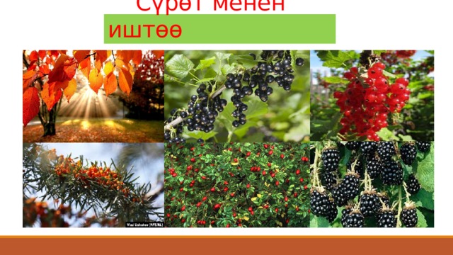  Сүрөт менен иштөө 
