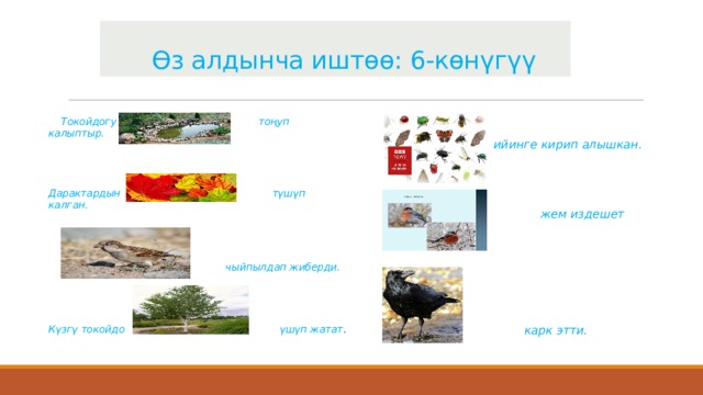  Өз алдынча иштөө: 6-көнүгүү   Токойдогу тоңуп калыптыр.   Дарактардын түшүп калган.    чыйпылдап жиберди.   Күзгү токойдо үшүп жатат .  ийинге кирип алышкан.    жем издешет   карк этти. 