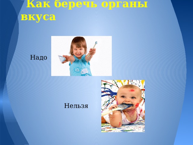Как беречь органы вкуса Надо Нельзя 