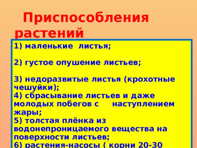  Приспособления растений к условиям жизни в пустыне : 1) маленькие листья; 2) густое опушение листьев; 3) недоразвитые листья (крохотные чешуйки); 4) сбрасывание листьев и даже молодых побегов с наступлением жары; 5) толстая плёнка из водонепроницаемого вещества на поверхности листьев; 6) растения-насосы ( корни 20-30 метров ).  