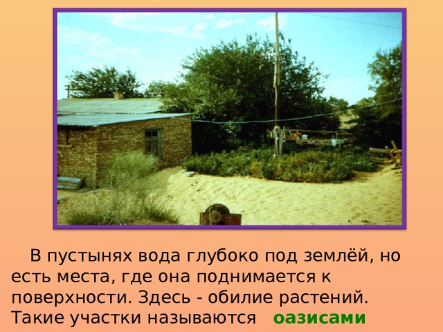  В пустынях вода глубоко под землёй, но есть места, где она поднимается к поверхности. Здесь - обилие растений. Такие участки называются оазисами 