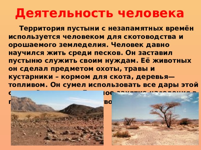 Деятельность человека  Территория пустыни с незапамятных времён используется человеком для скотоводства и орошаемого земледелия. Человек давно научился жить среди песков. Он заставил пустыню служить своим нуждам. Её животных он сделал предметом охоты, травы и кустарники – кормом для скота, деревья—топливом. Он сумел использовать все дары этой скудной природы. Главное занятие населения в пустыне – животноводство.  
