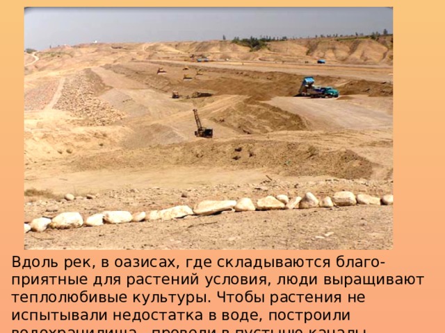 Вдоль рек, в оазисах, где складываются благо- приятные для растений условия, люди выращивают теплолюбивые культуры. Чтобы растения не испытывали недостатка в воде, построили водохранилища, провели в пустыню каналы. 