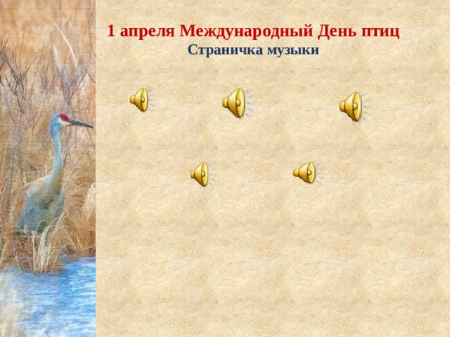 1 апреля Международный День птиц Страничка музыки 