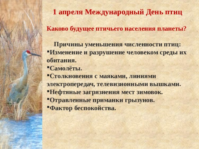 1 апреля Международный День птиц  Каково будущее птичьего населения планеты?  Причины уменьшения численности птиц: Изменение и разрушение человеком среды их обитания. Самолёты. Столкновения с маяками, линиями электропередач, телевизионными вышками. Нефтяные загрязнения мест зимовок. Отравленные приманки грызунов. Фактор беспокойства.  