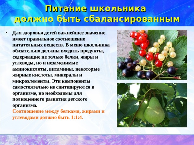 Питание школьника  должно быть сбалансированным   Для здоровья детей важнейшее значение имеет правильное соотношение питательных веществ. В меню школьника обязательно должны входить продукты, содержащие не только белки, жиры и углеводы, но и незаменимые аминокислоты, витамины, некоторые жирные кислоты, минералы и микроэлементы. Эти компоненты самостоятельно не синтезируются в организме, но необходимы для полноценного развития детского организма.  Соотношение между белками, жирами и углеводами должно быть 1:1:4.   
