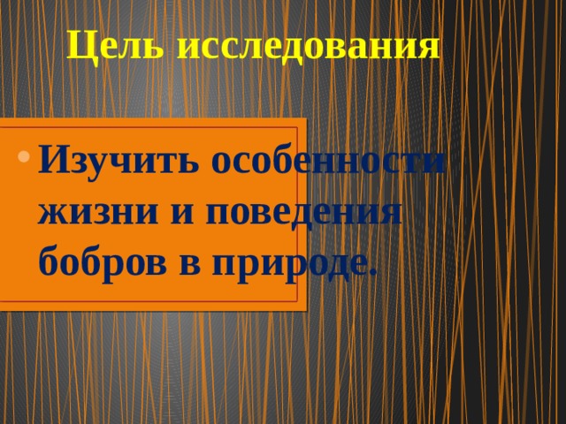 Цель исследования Изучить особенности жизни и поведения бобров в природе. 