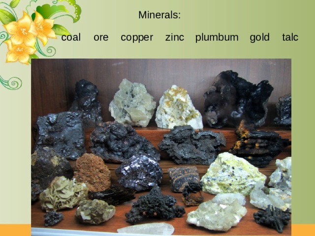 Minerals: coal ore copper zinc plumbum gold talc 