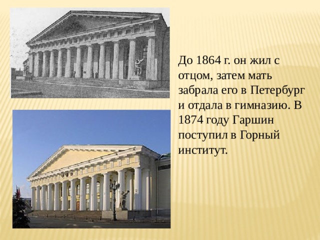 До 1864 г. он жил с отцом, затем мать забрала его в Петербург и отдала в гимназию. В 1874 году Гаршин поступил в Горный институт. 