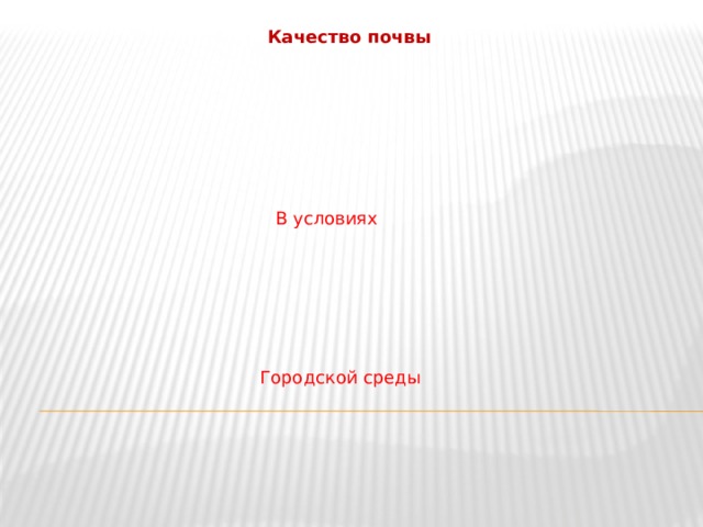 Качество почвы В условиях Городской среды 