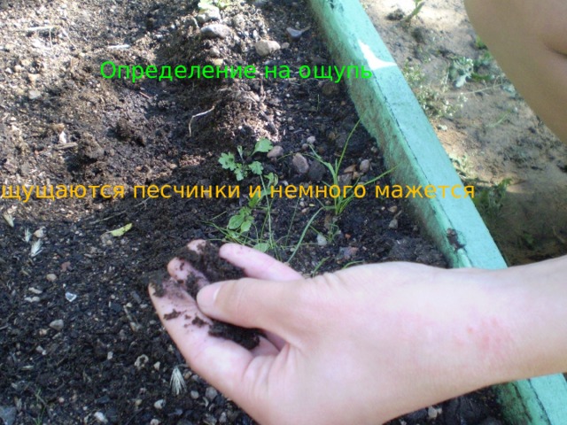 Определение на ощупь Ощущаются песчинки и немного мажется 